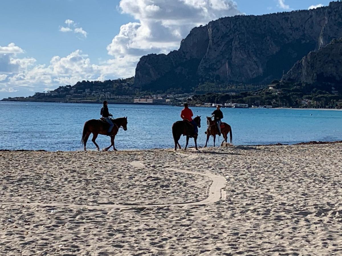Mondello Beach Luxury Apartments Palermo Kültér fotó